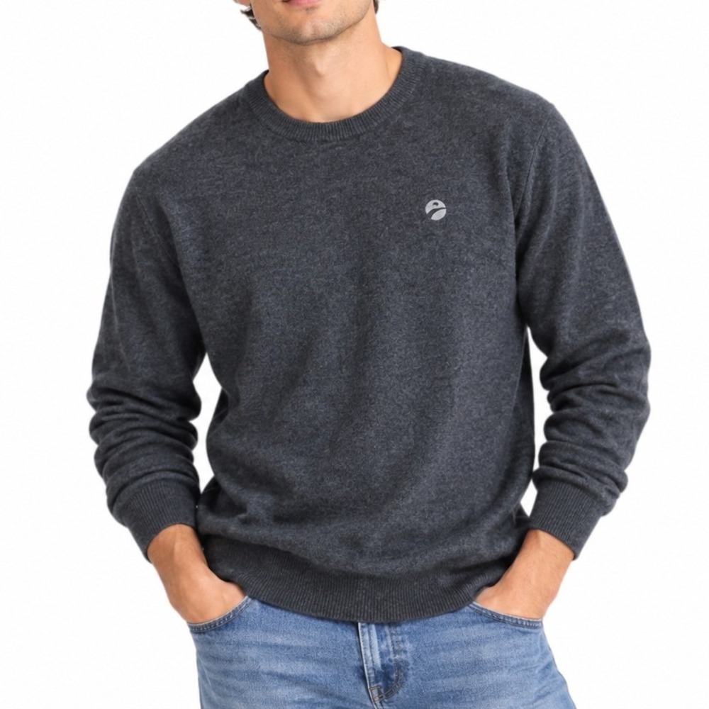Quince Sweater Mens L Charcoal Grey 100% Mongolian Cashmere Crewneck Logo Luxury